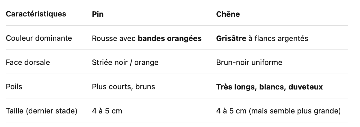 Apparence et couleur des chenilles