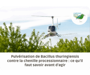 Bacillus thuringiensis