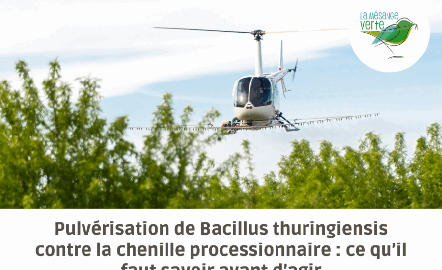 Bacillus thuringiensis