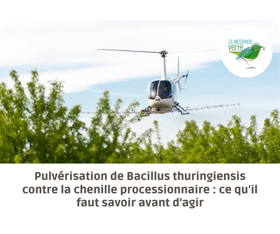 Bacillus thuringiensis