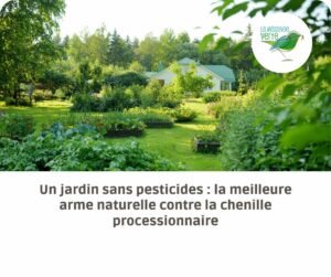 jardin sans pesticides
