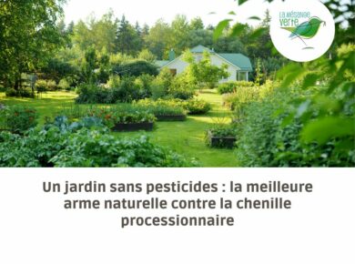 Un jardin sans pesticides : la meilleure arme naturelle contre la chenille processionnaire