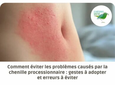 Comment éviter les problèmes causés par la chenille processionnaire : gestes à adopter et erreurs à éviter