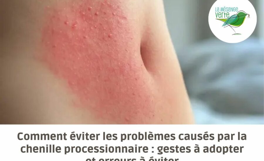 chenille processionnaire gestes à adopter