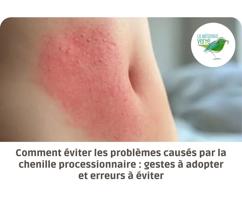 chenille processionnaire gestes à adopter