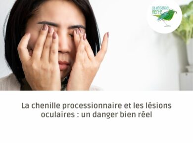 La chenille processionnaire et les lésions oculaires : un danger bien réel
