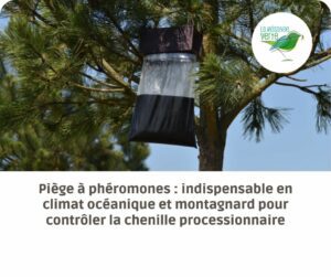 piège à phéromones