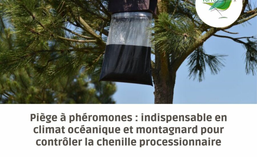 piège à phéromones