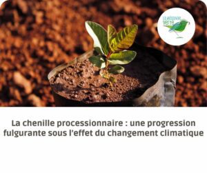 changement climatique