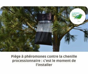 installer piège à phéromones