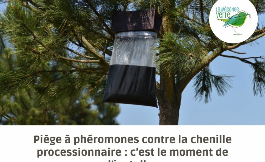 installer piège à phéromones