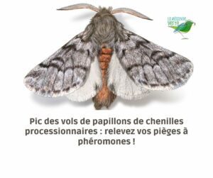 relevez pièges à phéromones