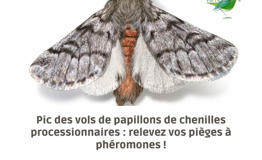 relevez pièges à phéromones