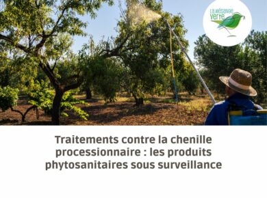 Traitements contre la chenille processionnaire : les produits phytosanitaires sous surveillance