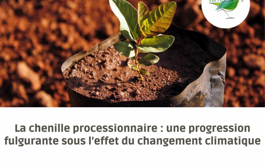 changement climatique